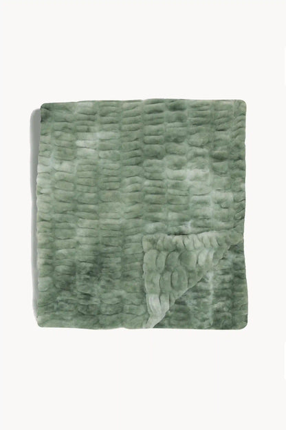 Lily Pad