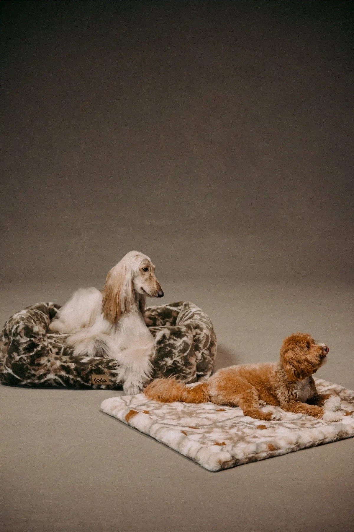 The Lola Pet Pad | Birch Camo