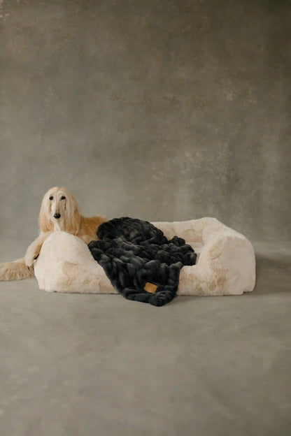 The Lola Pet Bed | Bondi Beige